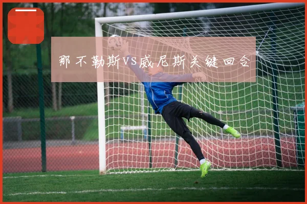 那不勒斯vs威尼斯关键回合
