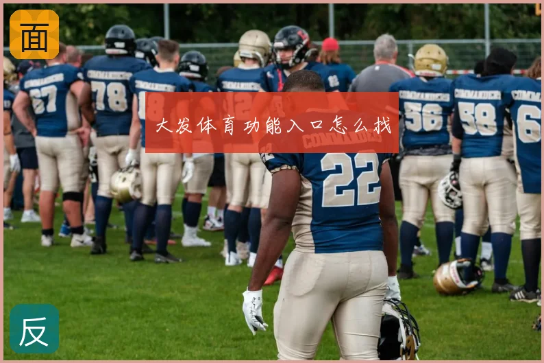 大发体育功能入口怎么找