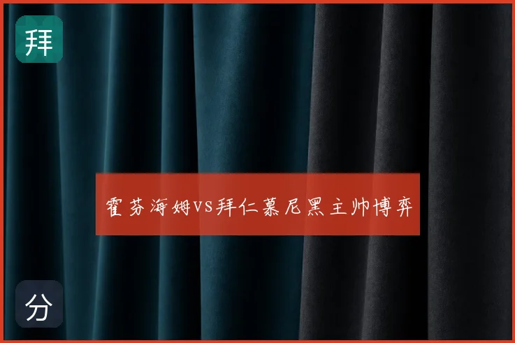霍芬海姆vs拜仁慕尼黑主帅博弈